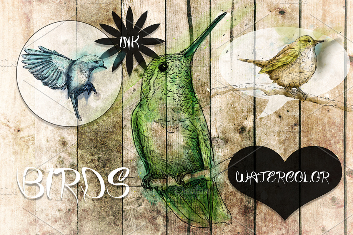 5 Ink Watercolor Birds, an Animal Illustration by Natsuhisui (Photo 4 of 8)