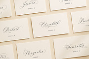 La Rumba - Modern Calligraphy Font, a Font by Blessed Print (Thumbnail 14 of 20)
