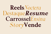 Noctera Modern Editorial Serif Font, a Serif Font by LuhopCreative (Thumbnail 5 of 15)