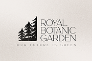Story Type elegant typeface 18 fonts, a Serif Font by VP Fonts (Thumbnail 9 of 16)