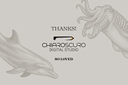 Mediterranean Sea Vector Clipart Set, an Animal Illustration by Pingebat (Thumbnail 15 of 15)