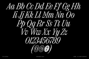 FTC Foldyne, a Serif Font by Fridaytype (Thumbnail 11 of 12)