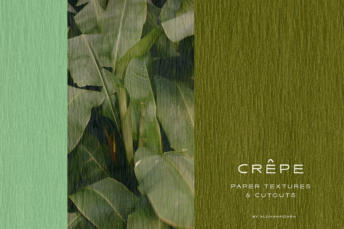 Crepe Paper Textures & Cutouts, a Texture Graphic by alonahaidash (Photo 3 of 17)