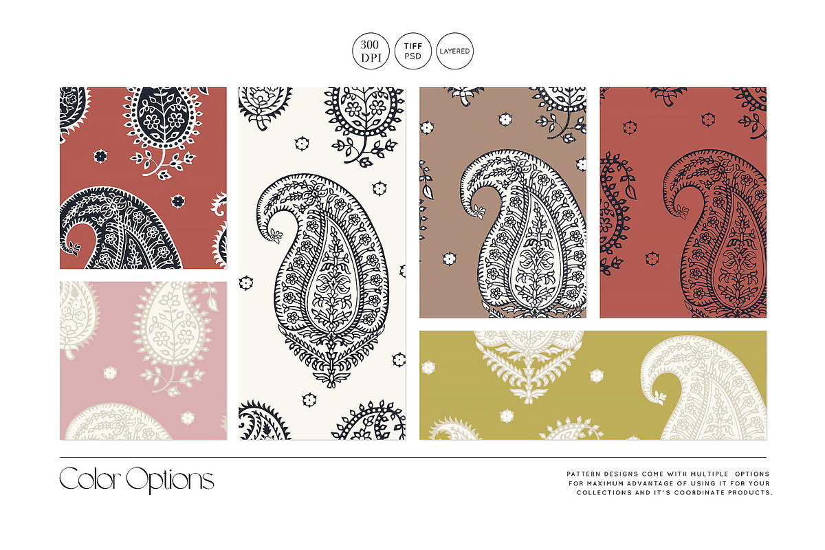 Vintage Block Prints Paisley & Motif, a Pattern Graphic by TSTUDIO (Photo 5 of 10)