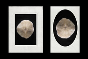 Vintage Scan Borders And Textures⸻1, a Texture Graphic by Studio Viita (Thumbnail 5 of 8)