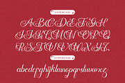 Skinship | Love Script Font, a Script Font by Denustudios (Thumbnail 10 of 13)