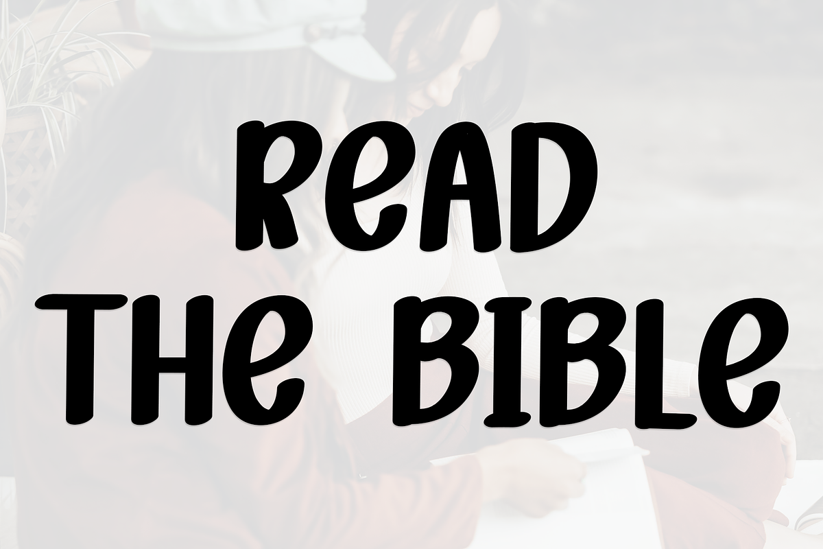 Scripture, a Serif Font by InermediaSTUDIO (Photo 5 of 8)