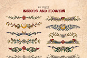 Insects and Flowers, an Animal Illustration by Ink Stories (Thumbnail 14 of 15)