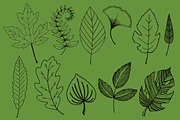 Botanical Leaves Hand-Drawn Vectors, an Object Graphic by MyNatureGraphics (Thumbnail 2 of 2)