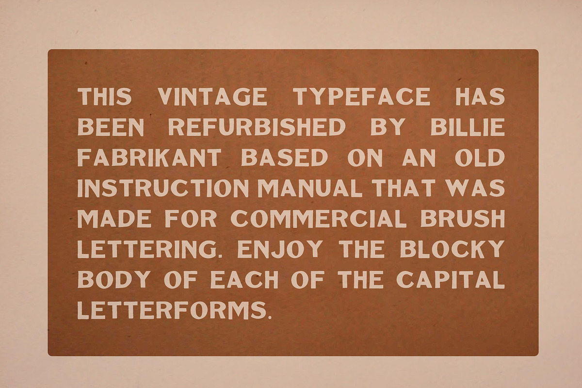 BS Thaddeus | Vintage Font Family, a Slab Serif Font by BS Type Co. (Photo 2 of 4)