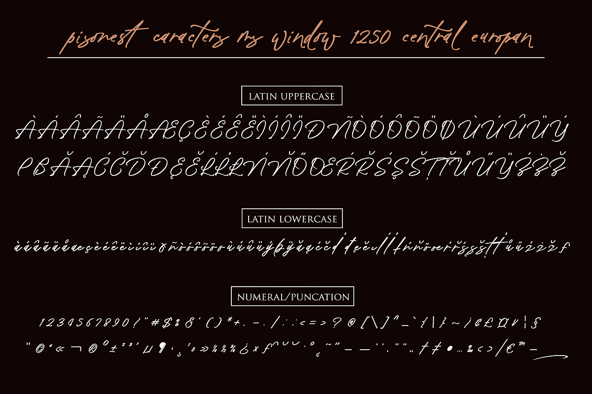Pisonest (Glyph Central Europan), a Script Font by Meutuwah (Photo 10 of 10)