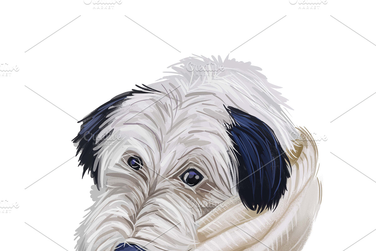 Dogs Cross Breeds 56 Animals Bundle, an Animal Illustration by Dneprstock (Photo 40 of 55)