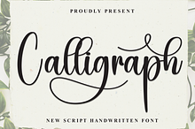 Calligraph | Script Font