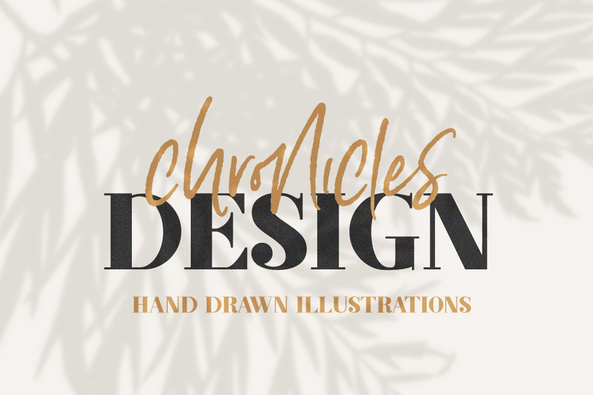 Simone Script Font preview 5