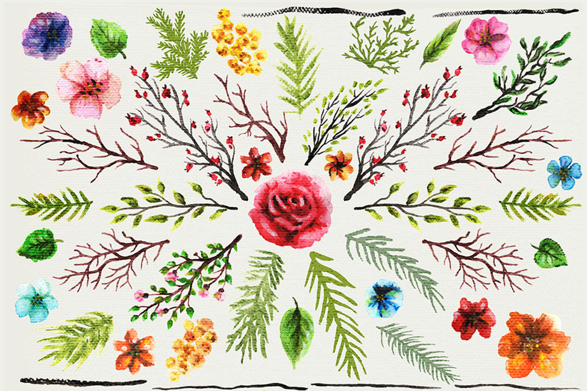 Designer's Set of flowers, an Illustration by ARSCOR (Photo 2 of 4)