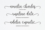 Untilnow Script Modern Calligraphy, a Script Font by sizimon (Thumbnail 5 of 8)