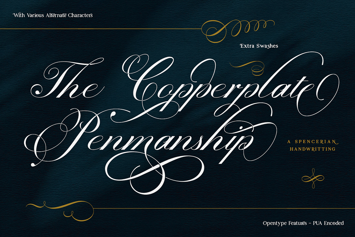 Prestissimo Classy (20% 0FF), a Script Font by Burntilldead (Photo 4 of 23)