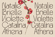 Baroque Grotesk - Ligature Rich Font, a Sans Serif Font by SilverStag Type Foundry (Thumbnail 10 of 20)