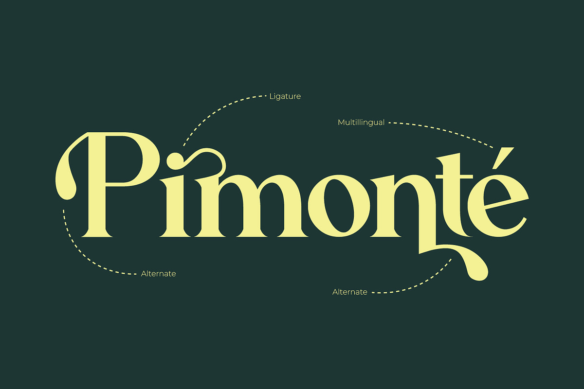 Zearlith - Modern Serif Font, a Serif Font by Rishsketch (Photo 8 of 15)