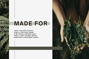 Forest Stock Photos | Moody Woodland, a Nature Photo by Tale.Haus (Thumbnail 7 of 20)