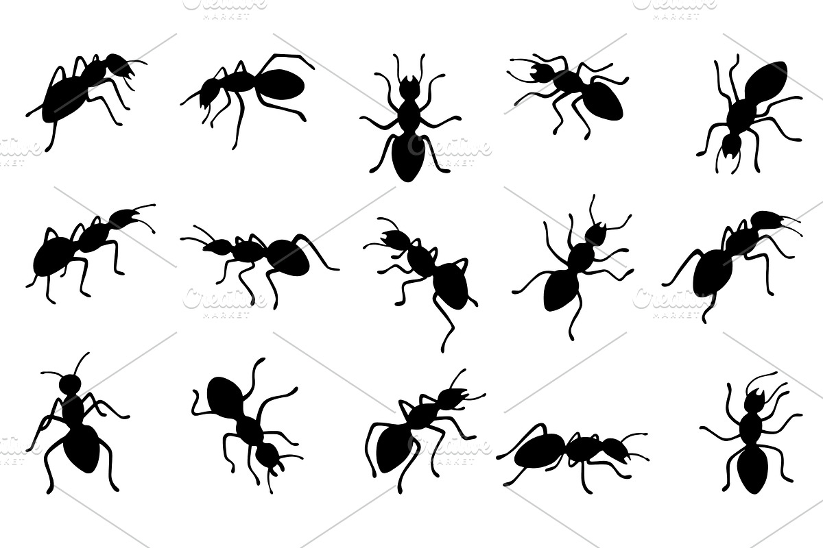 Black ants silhouettes. Isolated ant, an Animal Illustration by Valerie Bodnar
