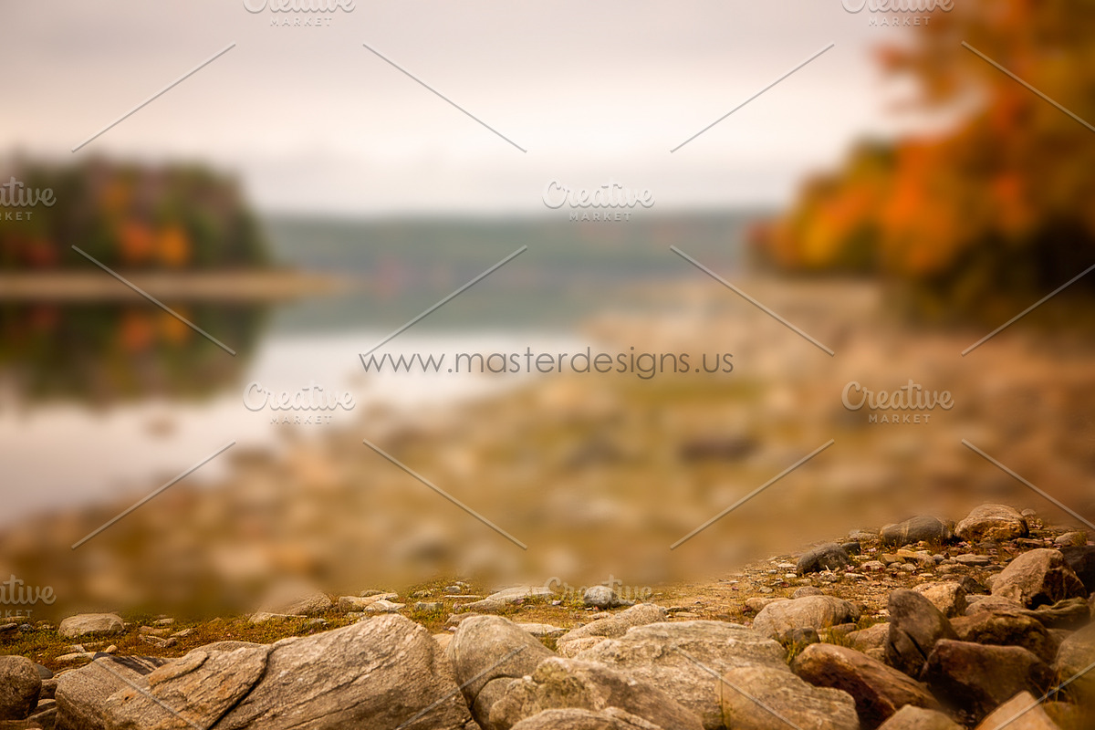 Fine Art Digital Texture/Background, a Texture Graphic by Nancy Hebert Photography (Photo 1 of 2)