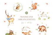 Woodland Watercolor Illustrations, an Animal Illustration by Liliia Polos Illustration (Thumbnail 4 of 16)