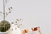 AUTUMN GARDEN watercolor flowers, a Seasonal Illustration by Yuliia Lashevska (Thumbnail 12 of 14)