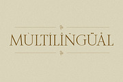 Rosemode - Roman Serif, a Serif Font by Typia Nesia (Thumbnail 14 of 14)