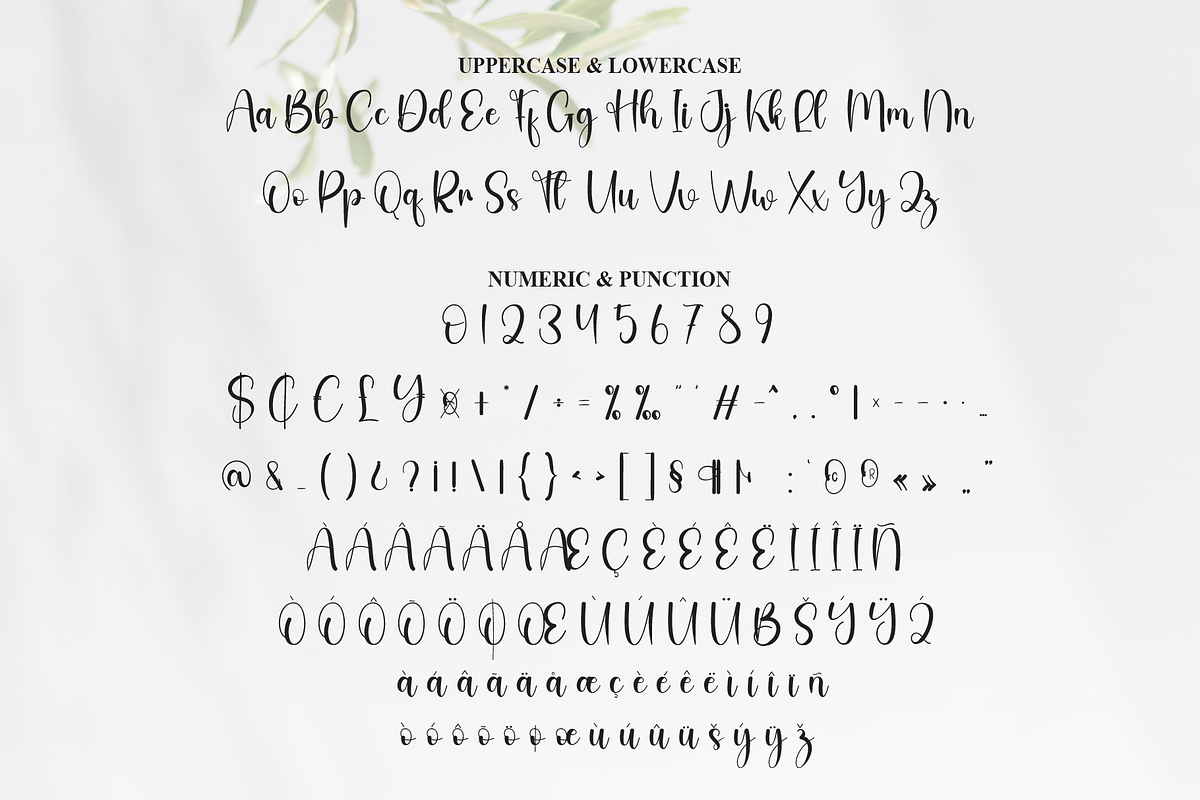 Budget | Script Font, a Handwritten Font by Scratchones
