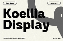Koellia - Sans Serif Display