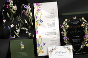 FIORE Bright watercolor flowers, a Decorative Illustration by Grace Noboa Illustrations (Thumbnail 12 of 17)