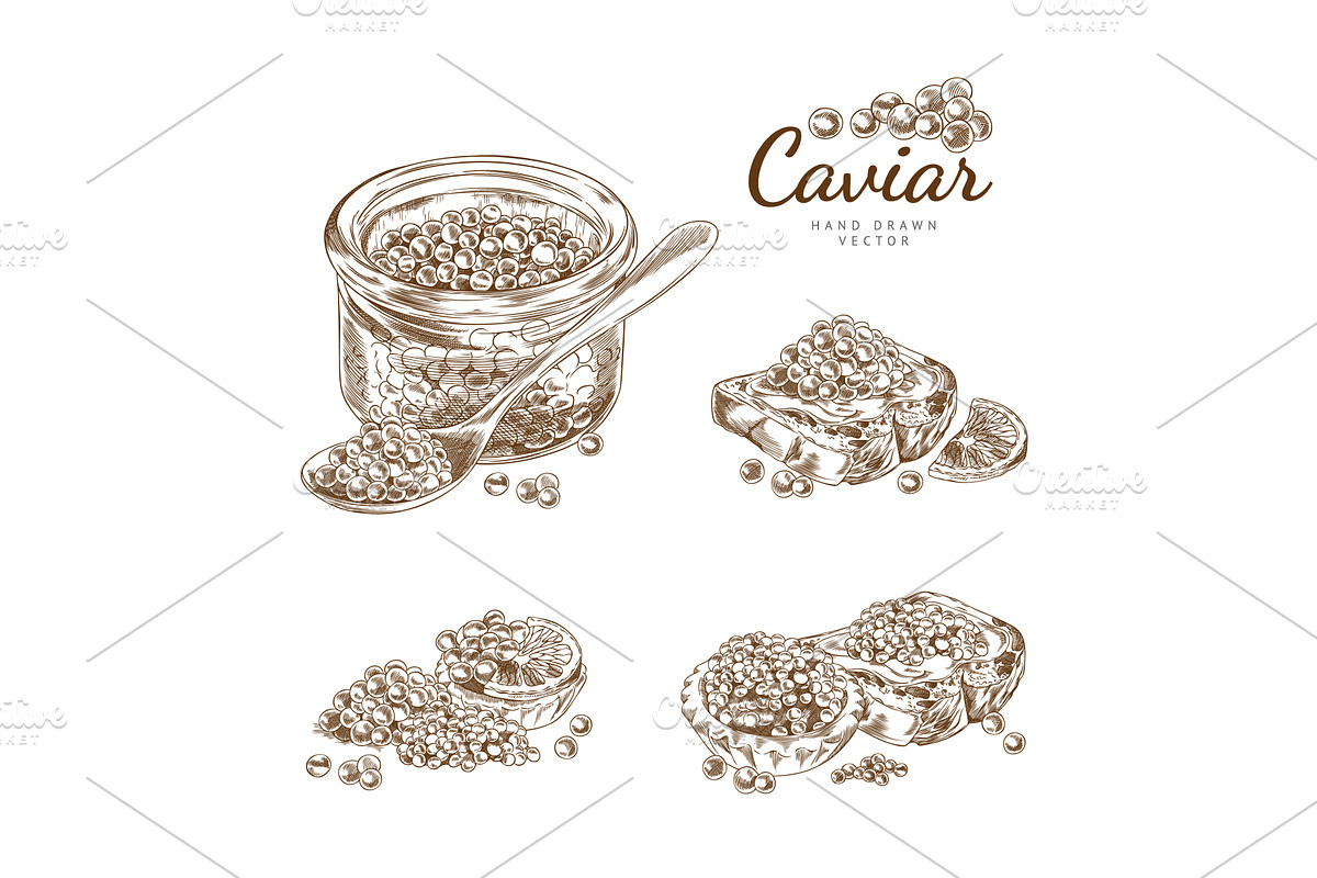 Outline sketch set of illustrations, an Object Illustration by Sabelskaya