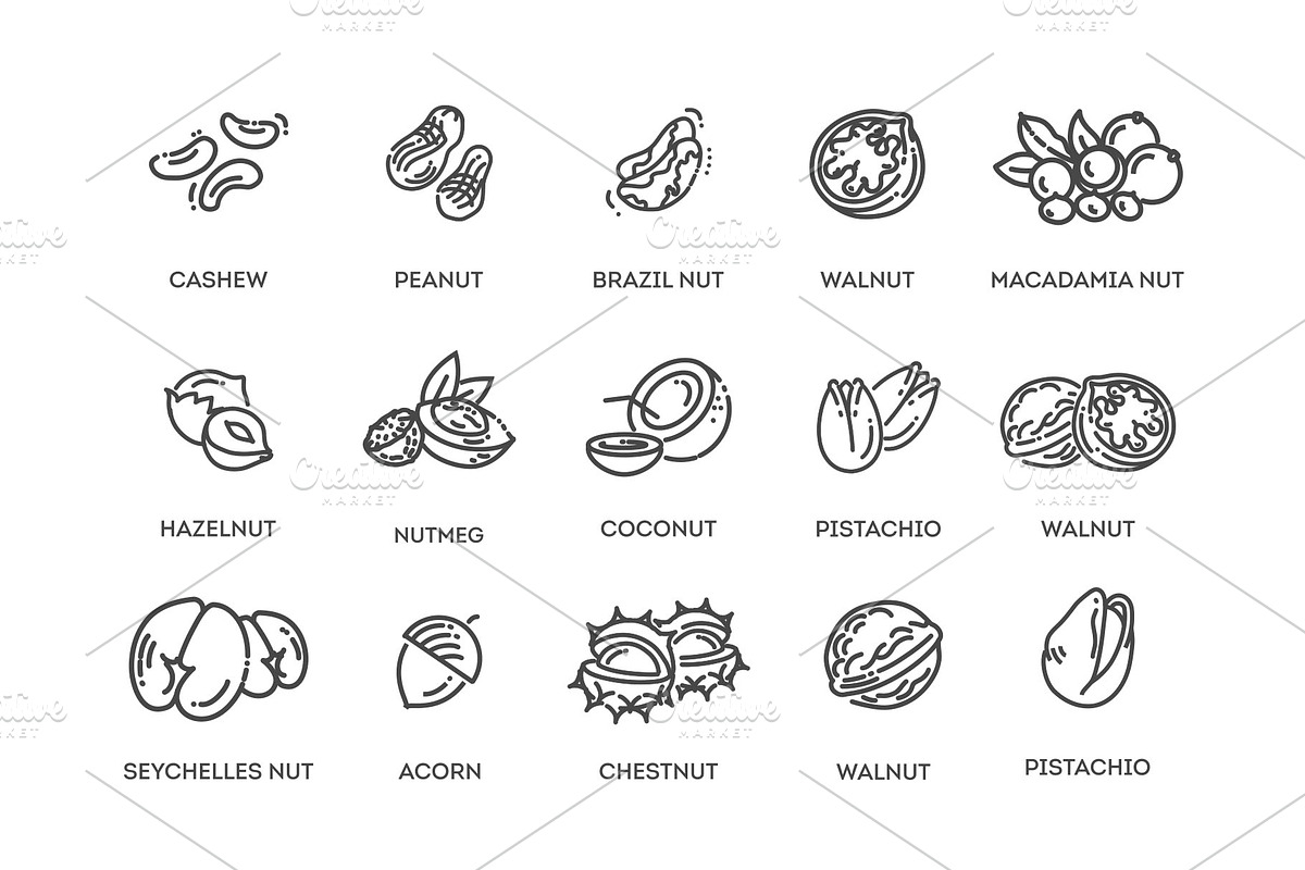 Nuts and Beans Icons, a Food Illustration by Tettygreen (Photo 2 of 3)