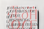 Niasec Lux Elegant Display Font, a Sans Serif Font by Casloop Studio (Thumbnail 7 of 15)