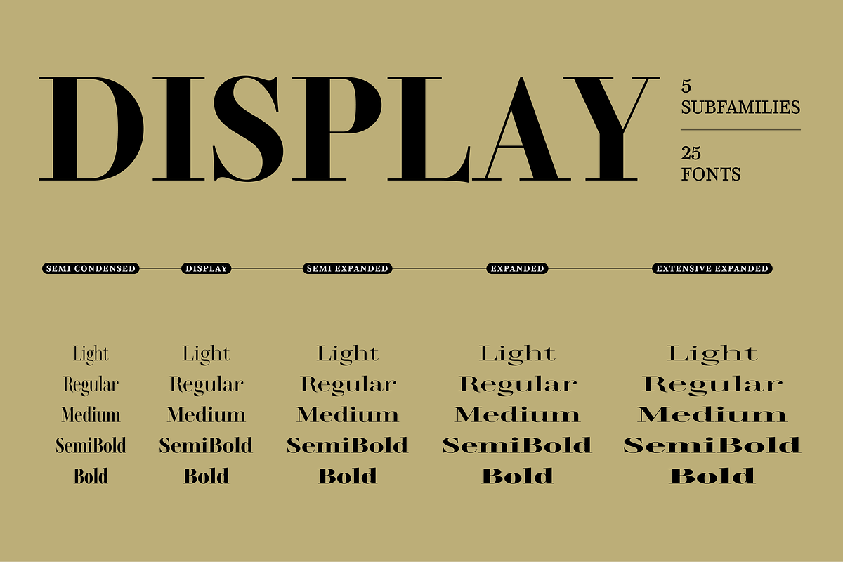 TA Regresso Text, a Serif Font by TAFT Foundry (Photo 4 of 21)