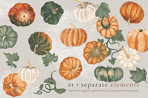 Pumpkin Harvest Illustration Set