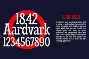 Roisin Slab, a Slab Serif Font by Muhammad Hastian (Thumbnail 3 of 8)