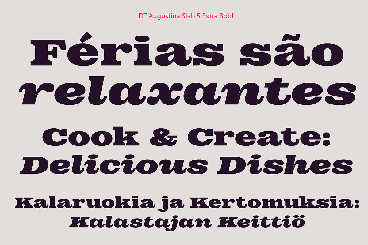 DT Augustina Slab 5 Subfamily, a Slab Serif Font by Deveze Type Foundry (Photo 16 of 31)