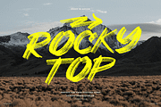 Sheep | Dry Brush Script Font, a Script Font by Ardana Creative (Thumbnail 2 of 6)