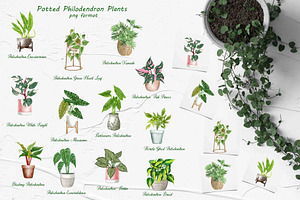 Philodendron Plans Watercolor Set