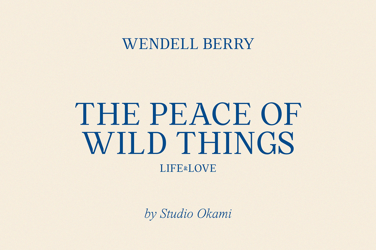 Henrietta Font (Fonts Pairing - Dou), a Serif Font by Studio Okami (Photo 7 of 10)