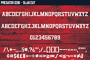 Predator 0316 - Full Family, a Sans Serif Font by Eargle Design, LLC (Thumbnail 12 of 20)