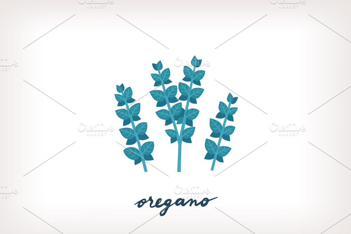 Aromatic Herbs Vector Graphics, an Illustration by Insalata Illustrata (Photo 2 of 6)