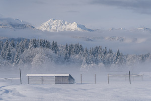 Winter morning in the forest and mountains