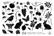 Shadow Garden Vector Collection, a Decorative Illustration by rouxsupplyco (Thumbnail 12 of 17)