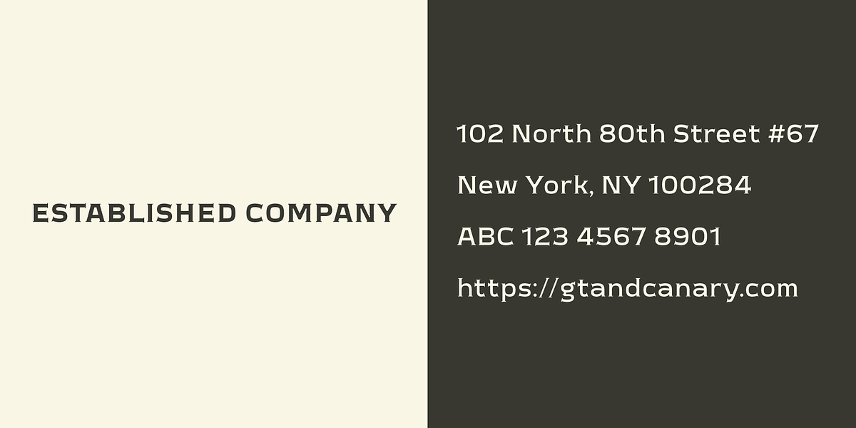 Meguro Serif, a Serif Font by GT&CANARY (Photo 9 of 12)