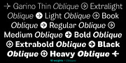 Garino, a Sans Serif Font by Julien Fincker (Thumbnail 2 of 15)