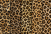 Realistic Jaguar Print Fur Texture, a Pattern Graphic by Artonix (Thumbnail 2 of 3)
