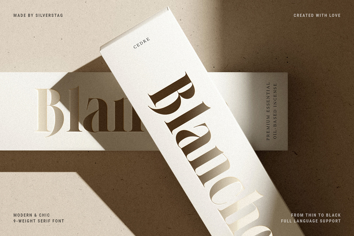 LaRuja - Modern Serif Typeface, a Serif Font by SilverStag Type Foundry (Photo 3 of 20)